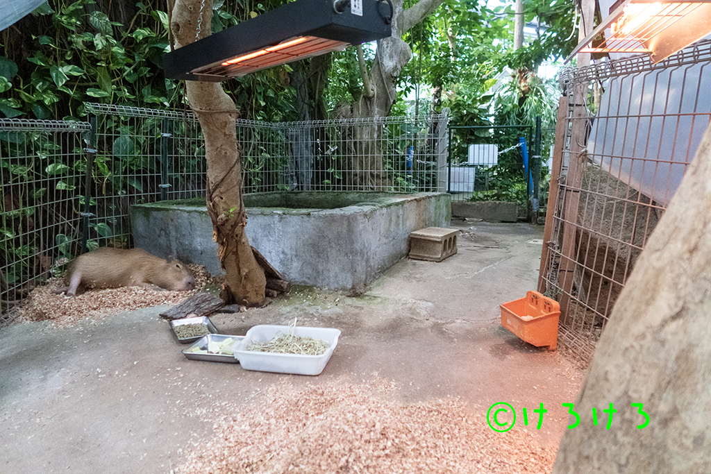 ぽかぽかライトは2台完備。