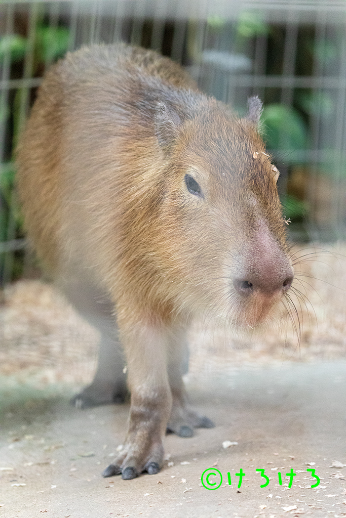 場所移動!(なると)